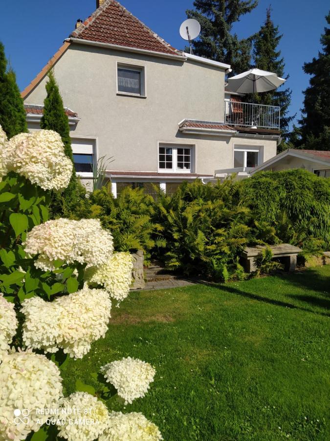 Kreativ Ferienwohnung Domizil Der Sinne Бад-Либенверда Экстерьер фото